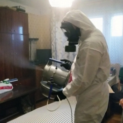 Дезинфекция от клопов в Андреаполе