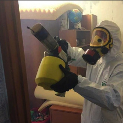 Уничтожение клопов в квартире. Андреаполь